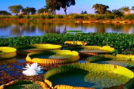 Corrientes una de las estrellas de las vacaciones de invierno
